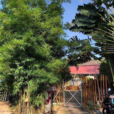 Shaka Garden House Langkawi Διαμέρισμα Pantai Cenang  Εξωτερικό φωτογραφία