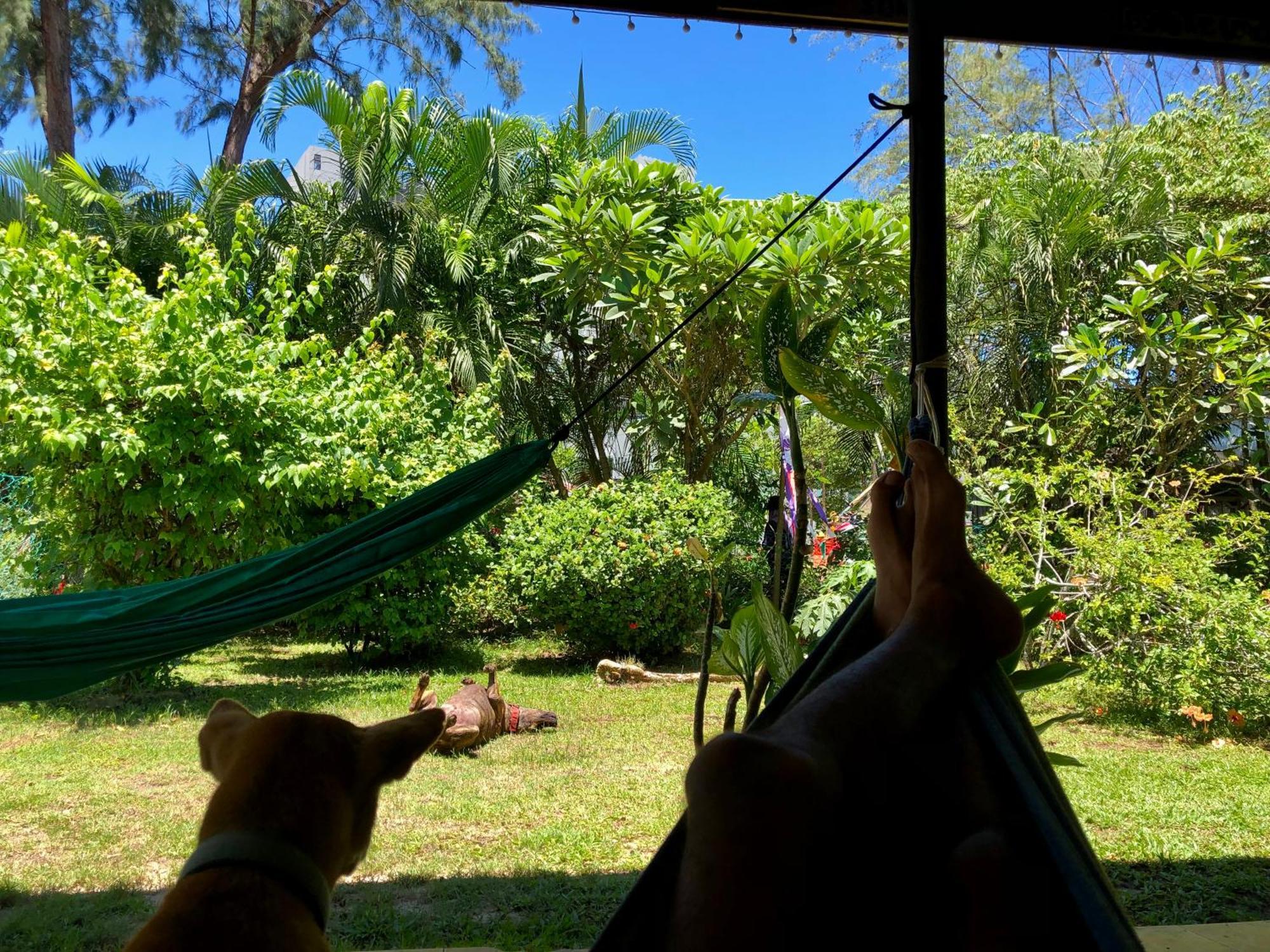 Shaka Garden House Langkawi Διαμέρισμα Pantai Cenang  Εξωτερικό φωτογραφία